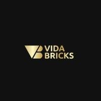 Vida Bricks