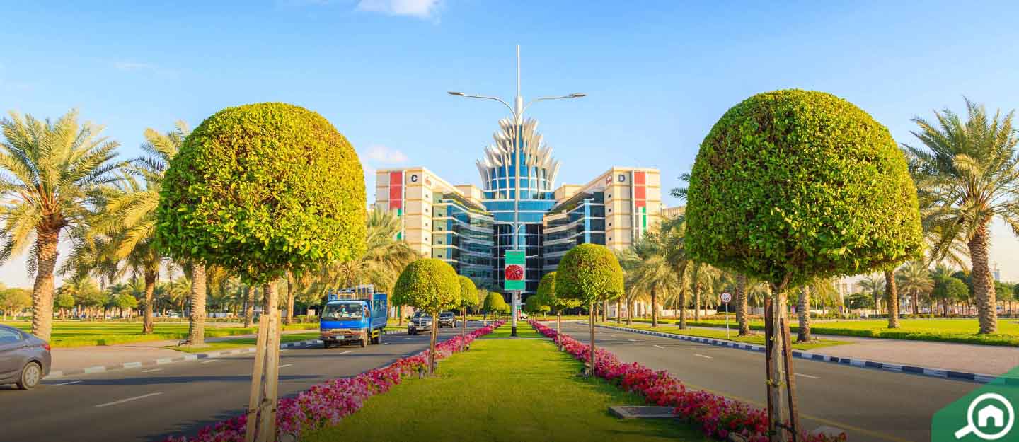 Sillicon Oasis Dubai